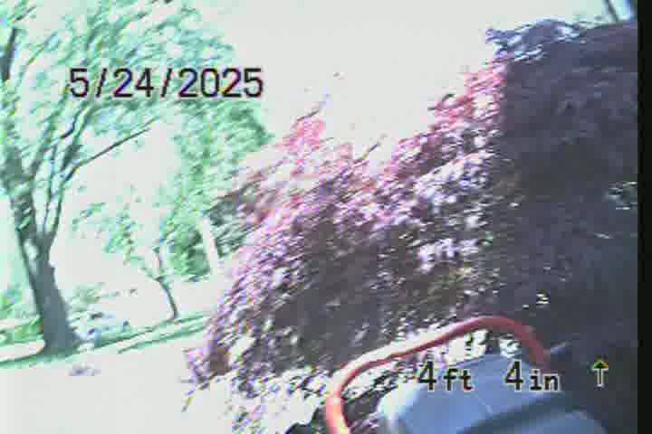 Frame